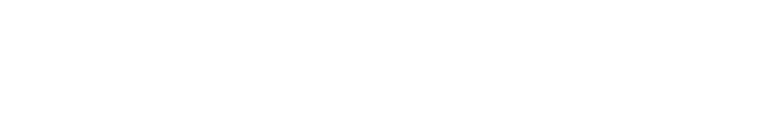 NotaPress logo